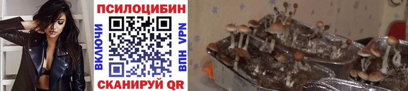 Галлюциногенные грибы мицелий наркота Нижний Ломов